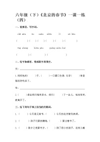 小学语文人教部编版六年级下册1 北京的春节习题