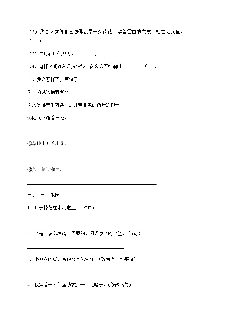 部编版三年级下册语文试题-期末知识复习专项：句式转换（含答案含解析）第2页