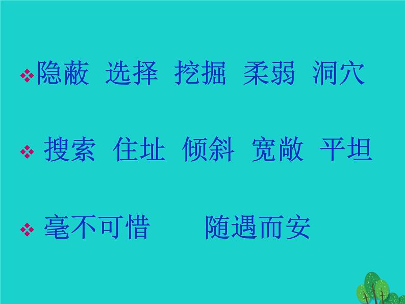 四年级语文上册第2单元7蟋蟀的住宅课件2新人教版03