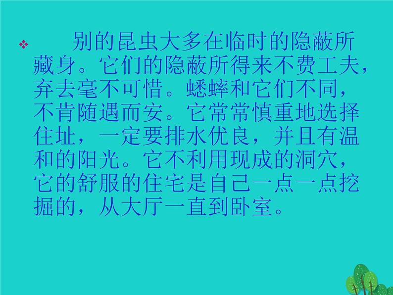 四年级语文上册第2单元7蟋蟀的住宅课件2新人教版05