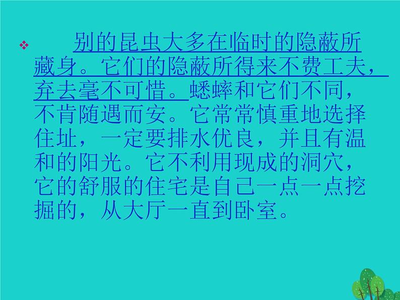 四年级语文上册第2单元7蟋蟀的住宅课件2新人教版06