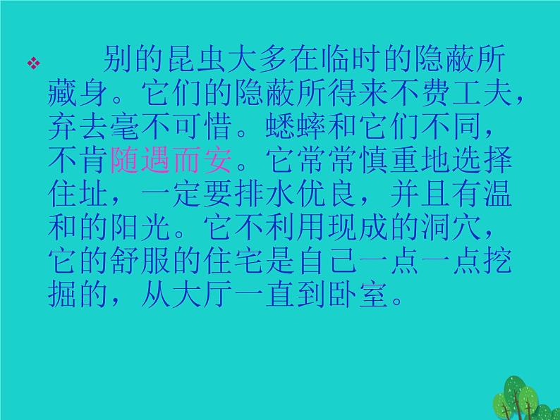 四年级语文上册第2单元7蟋蟀的住宅课件2新人教版07