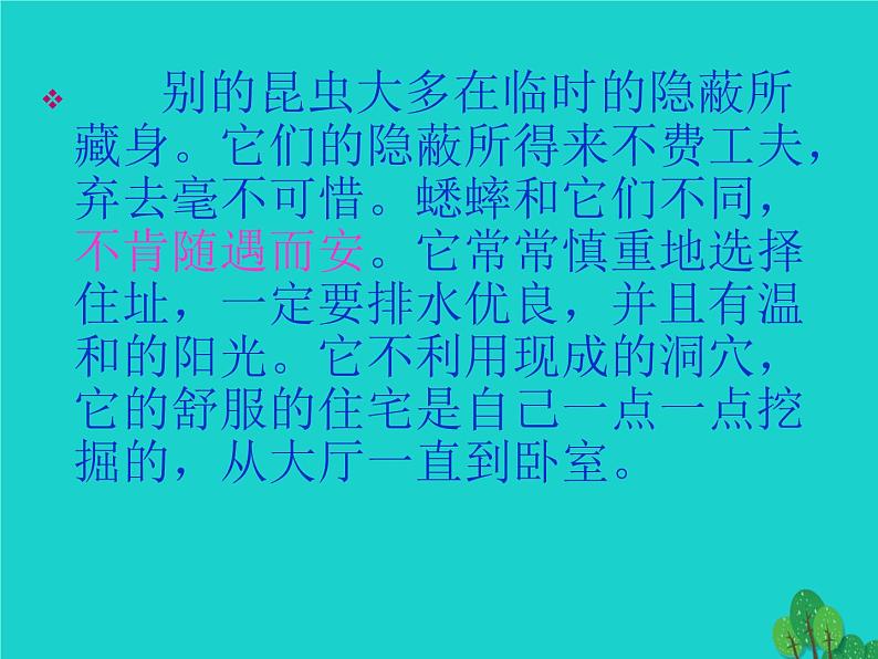 四年级语文上册第2单元7蟋蟀的住宅课件2新人教版08