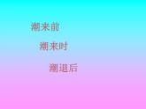 四年级语文上册第1单元1观潮课堂教学课件2新人教版