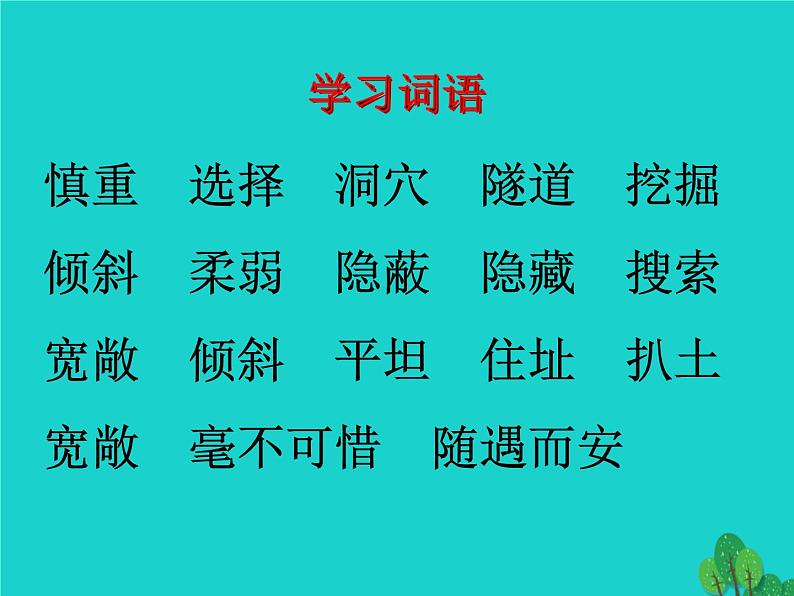 四年级语文上册第2单元7蟋蟀的住宅课件3新人教版05