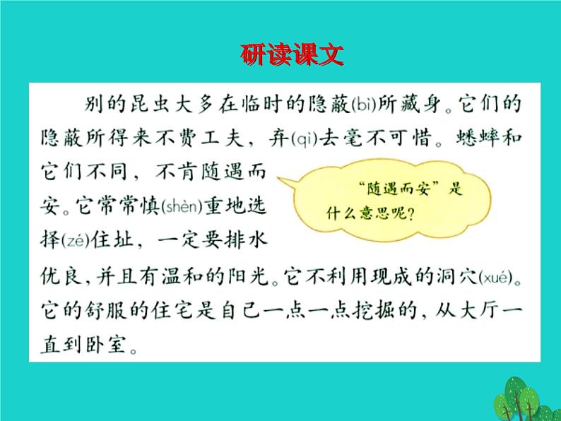 四年级语文上册第2单元7蟋蟀的住宅课件3新人教版06