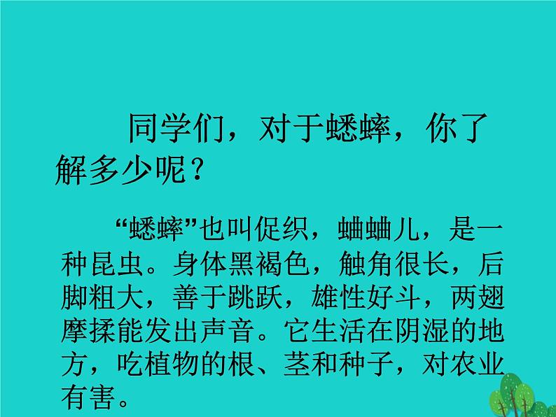 四年级语文上册第2单元7蟋蟀的住宅课件1新人教版第2页