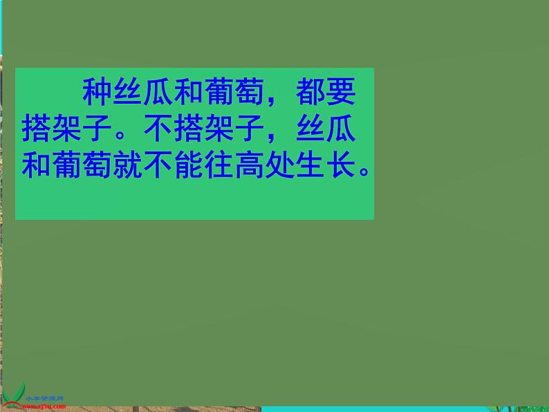 四年级语文上册第2单元6爬山虎的脚课件新人教版第2页