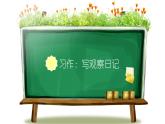 小学语文四年级上册训练提升课件习作：写观察日记