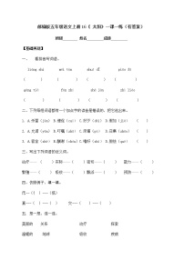 小学语文人教部编版五年级上册16 太阳课时作业