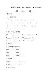 人教部编版五年级上册第七单元23 鸟的天堂课后测评