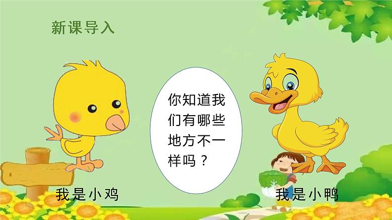 部编版小学语文一年级下册（上课课件）5小公鸡和小鸭子第2页