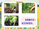 部編版語文三年級上冊  習(xí)作五：我們眼中的繽紛世界  課件PPT+教案