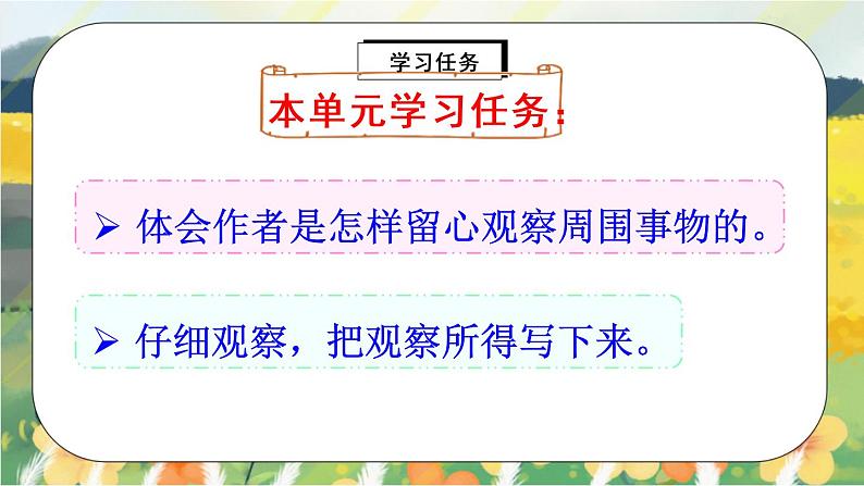 部编版语文三年级上册  习作五：我们眼中的缤纷世界  课件PPT+教案03