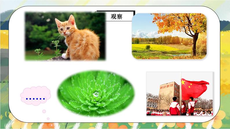 部编版语文三年级上册  习作五：我们眼中的缤纷世界  课件PPT+教案04