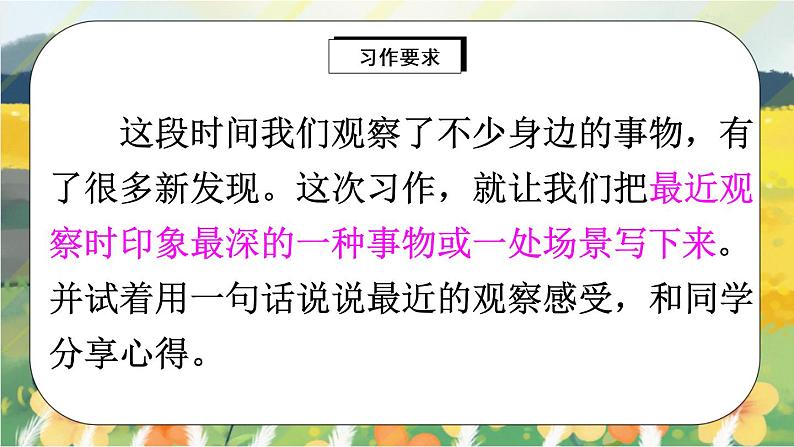 部编版语文三年级上册  习作五：我们眼中的缤纷世界  课件PPT+教案05