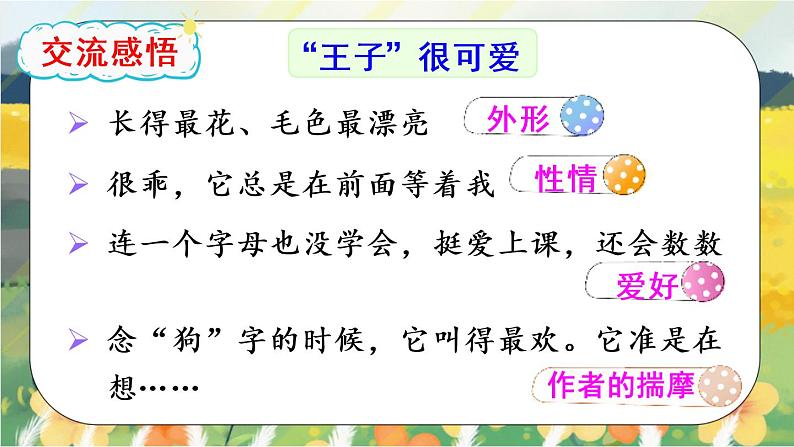 部编版语文三年级上册  习作五：我们眼中的缤纷世界  课件PPT+教案08