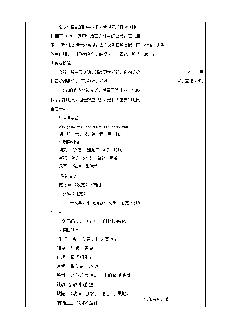 小学语文五年级上册《松鼠》教学设计（共2课时）02