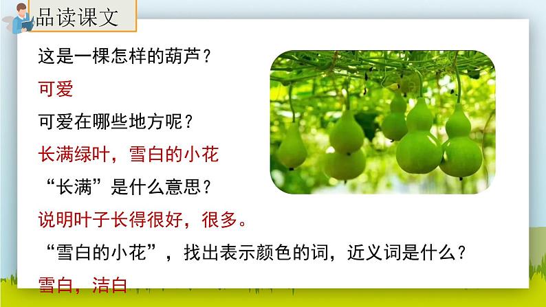 14.《我要的是葫芦》（第二课时）课件+教案+练习05