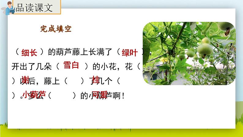 14.《我要的是葫芦》（第二课时）课件+教案+练习06