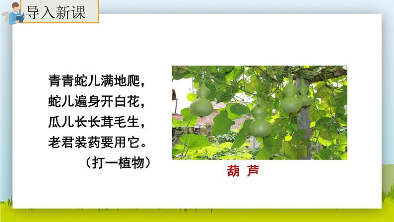 14.《我要的是葫芦》（第一课时）课件+教案+练习02