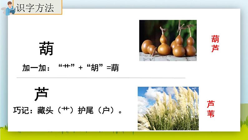 14.《我要的是葫芦》（第一课时）课件+教案+练习06