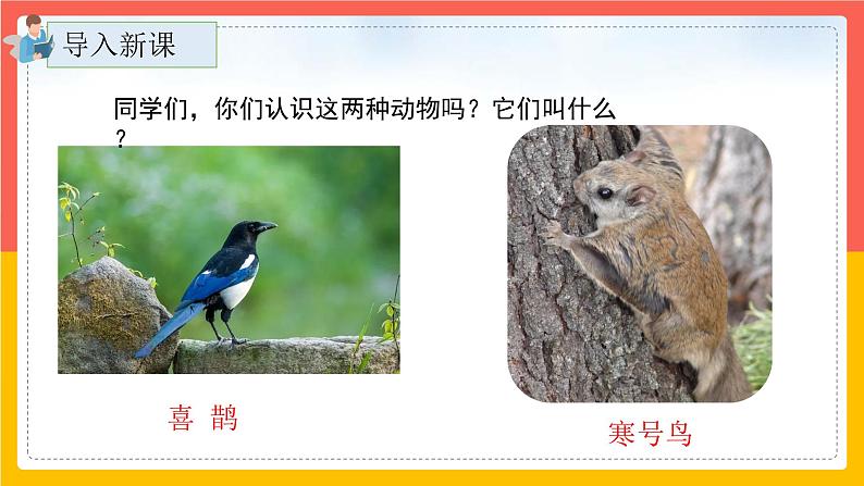 13.《寒号鸟》（第一课时）课件+教案+练习02