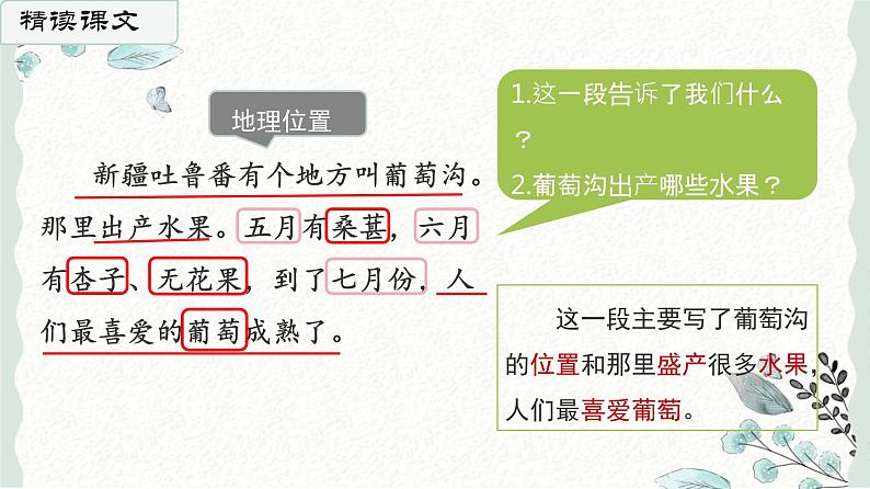 11.《葡萄沟》第二课时 课件+教案+练习06