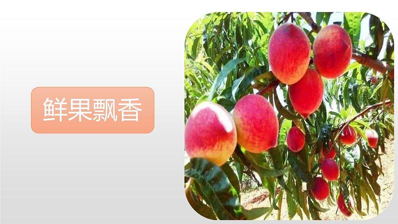 语文《巨人的花园》PPT课件07