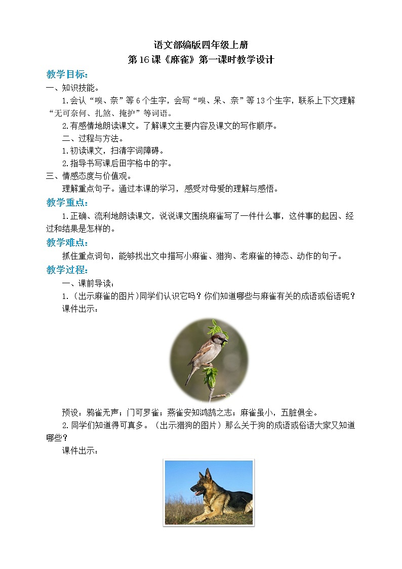 小学四年级上册《麻雀》教案 部编版第1页