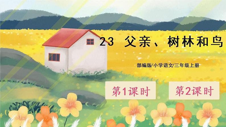 23《父亲、树林和鸟》课件PPT+生字课件+教案+音视频素材01