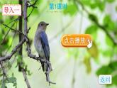 23《父親、樹(shù)林和鳥(niǎo)》課件PPT+生字課件+教案+音視頻素材
