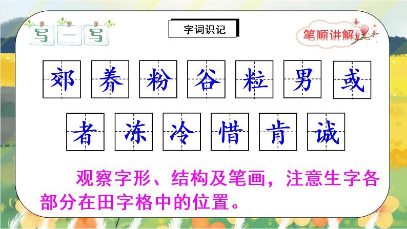25《灰雀》课件PPT+生字课件+教案+音视频素材06