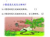 一年级语文下册课件-21 小壁虎借尾巴-部编版（共18张PPT）