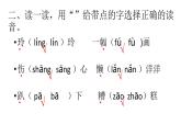 二年级上册语文 《玲玲的画》 海南 新课程课堂同步练习册课件