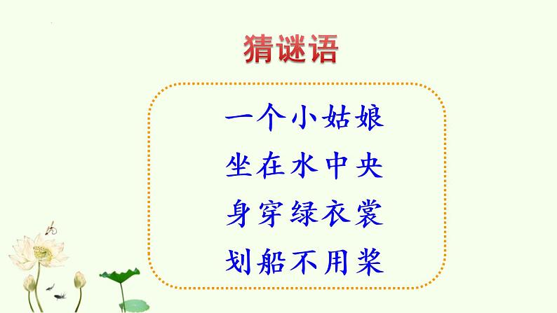 部编版小学语文一年级下册13《荷叶圆圆》（课件）(1)第2页