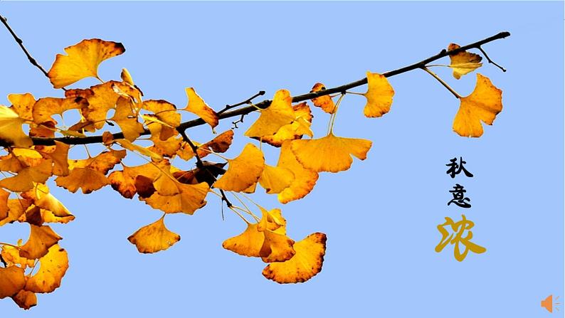 部编版语文一年级上册《语文园地三》　课件第2页