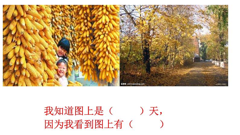 一年级下册语文课件-1春夏秋冬(共13张PPT)第4页