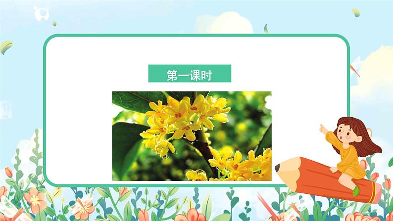 部编版语文五上3《桂花雨》课件+教案03
