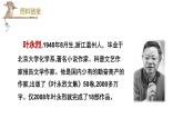 统编人教版小学语文六年级下册15真理诞生于一百个问号之后教学课件