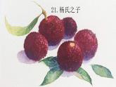 统编人教版小学语文五年级下册21.杨氏之子教学课件