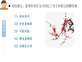 统编人教版小学语文五年级下册4.梅花魂教学课件