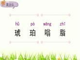 统编人教版小学语文四年级下册5琥珀教学课件