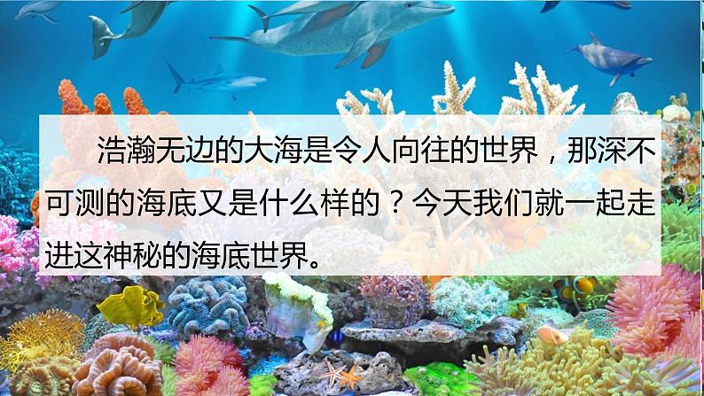 部编版语文三年级下册《海底世界》课件第1页