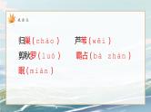 语文四上3现代诗二首《秋晚的江上》课件PPT+教案