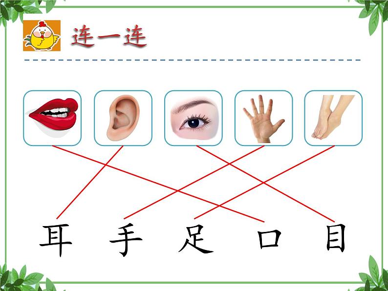 一年级上册语文部编版03 教学课件_口耳目305