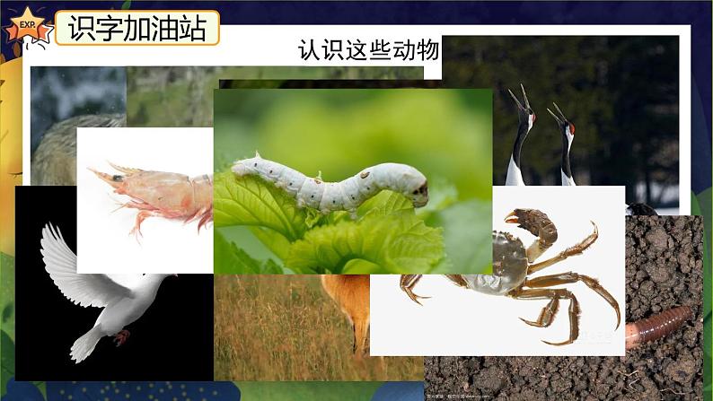 《语文园地八》（第一课时）课件+教案+练习+音频03