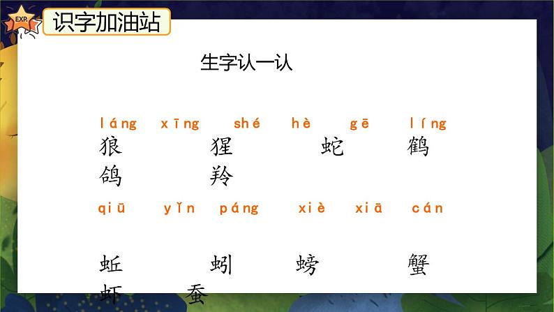 《语文园地八》（第一课时）课件+教案+练习+音频05