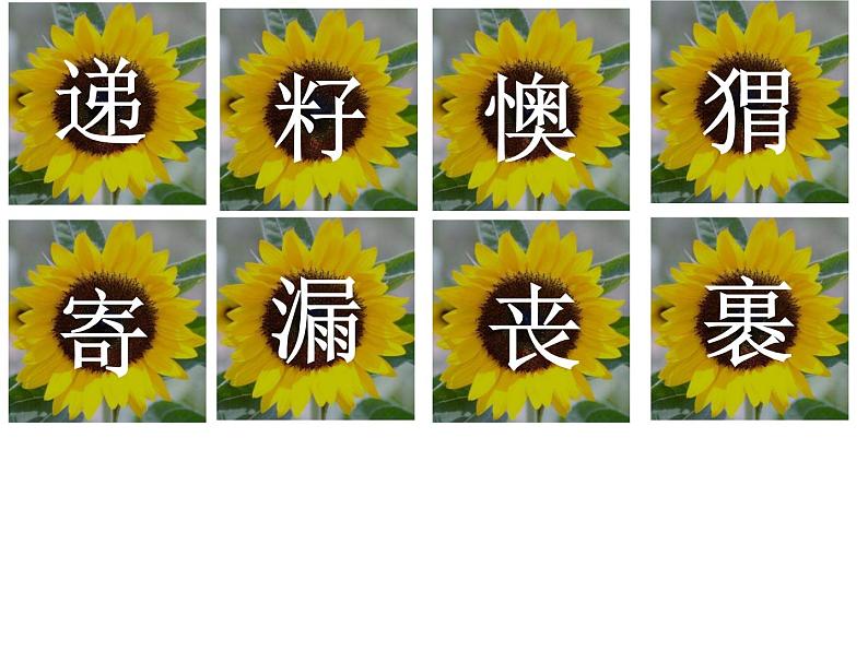 二年级下册语文课件-开满鲜花的小路 人教部编版 (3)(共29张PPT)06