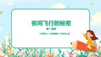 人教部编版四年级上册6 夜间飞行的秘密图文课件ppt